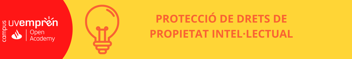 PROTECCIÓ DE DRETS DE PROPIETAT INTEL·LECTUAL